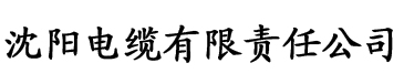 深夜的濡恋频道接档电缆厂logo